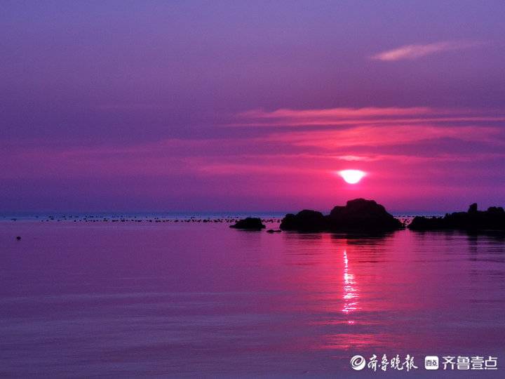 賞海島風光！煙臺壹粉：第一次近距離看海蜇，實在是太美了