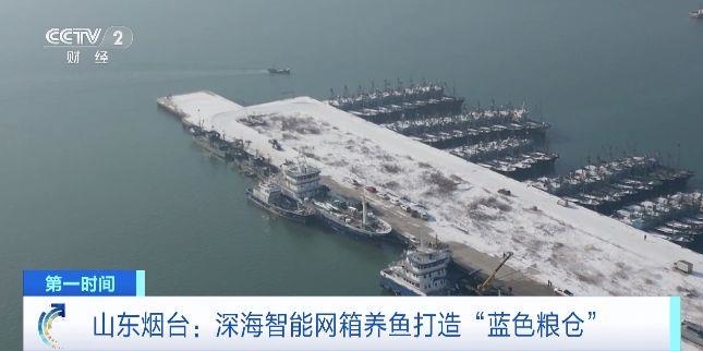 全年不間斷養(yǎng)殖！深海智能網(wǎng)箱養(yǎng)魚打造“藍(lán)色糧倉”