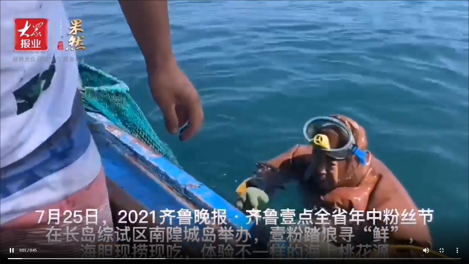 果然視頻|海膽現(xiàn)撈現(xiàn)吃！壹粉踏浪尋“鮮”，直呼太美味