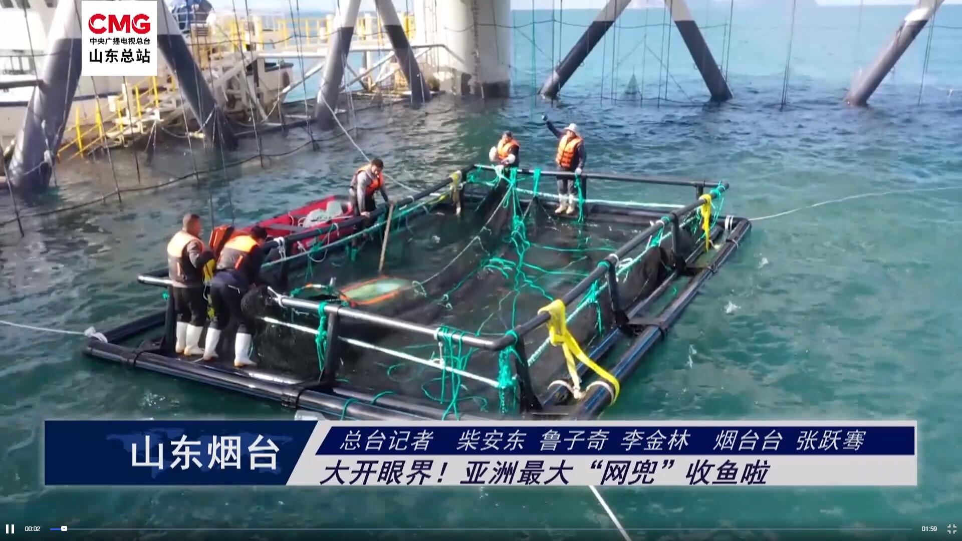 山東煙臺：大開眼界！亞洲最大“網兜”收魚啦