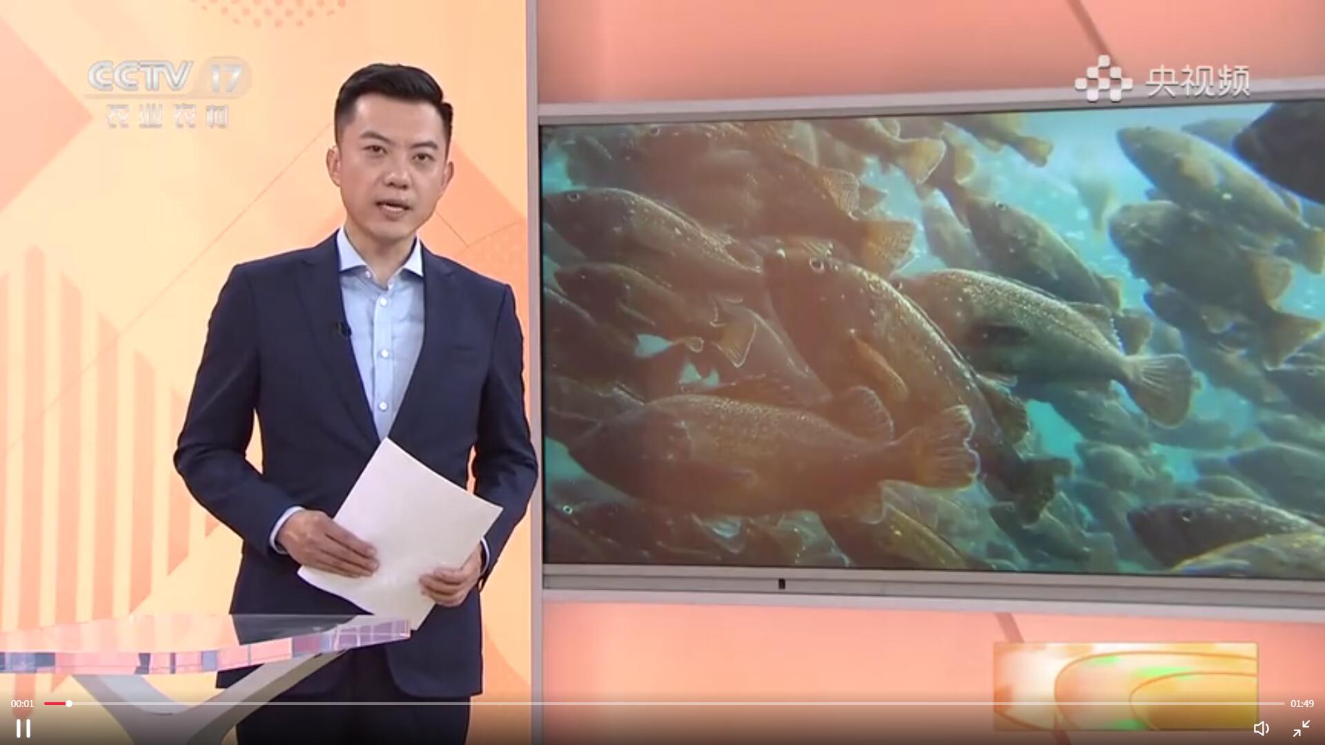 【沉甸甸的收獲】山東煙臺(tái)：深海智能網(wǎng)箱養(yǎng)魚打造“藍(lán)色糧倉”