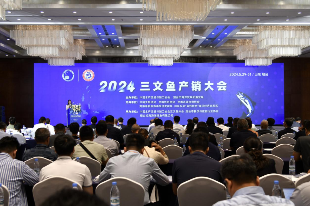 經海漁業：為我國三文魚自主養殖提供“煙臺方案”